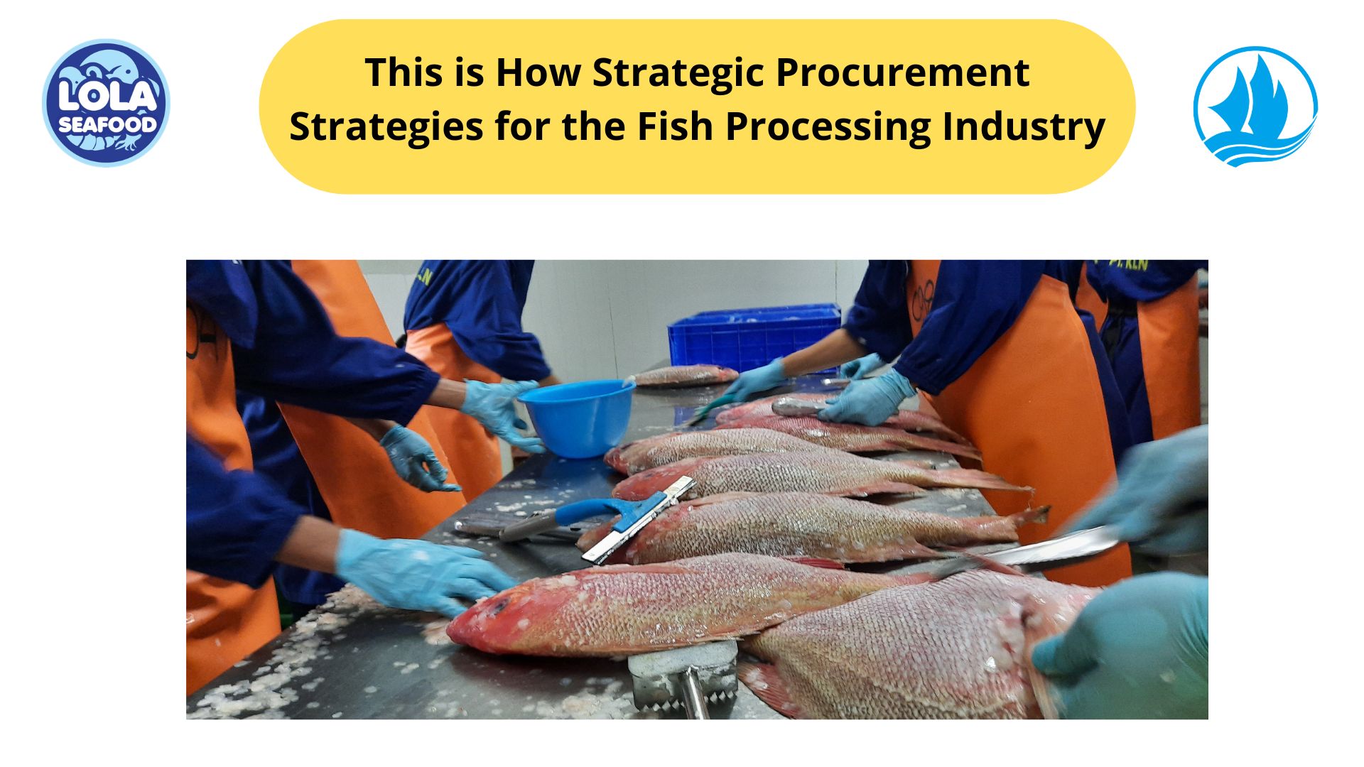 This is How Strategic Procurement Strategies for the Fish Processing Industry